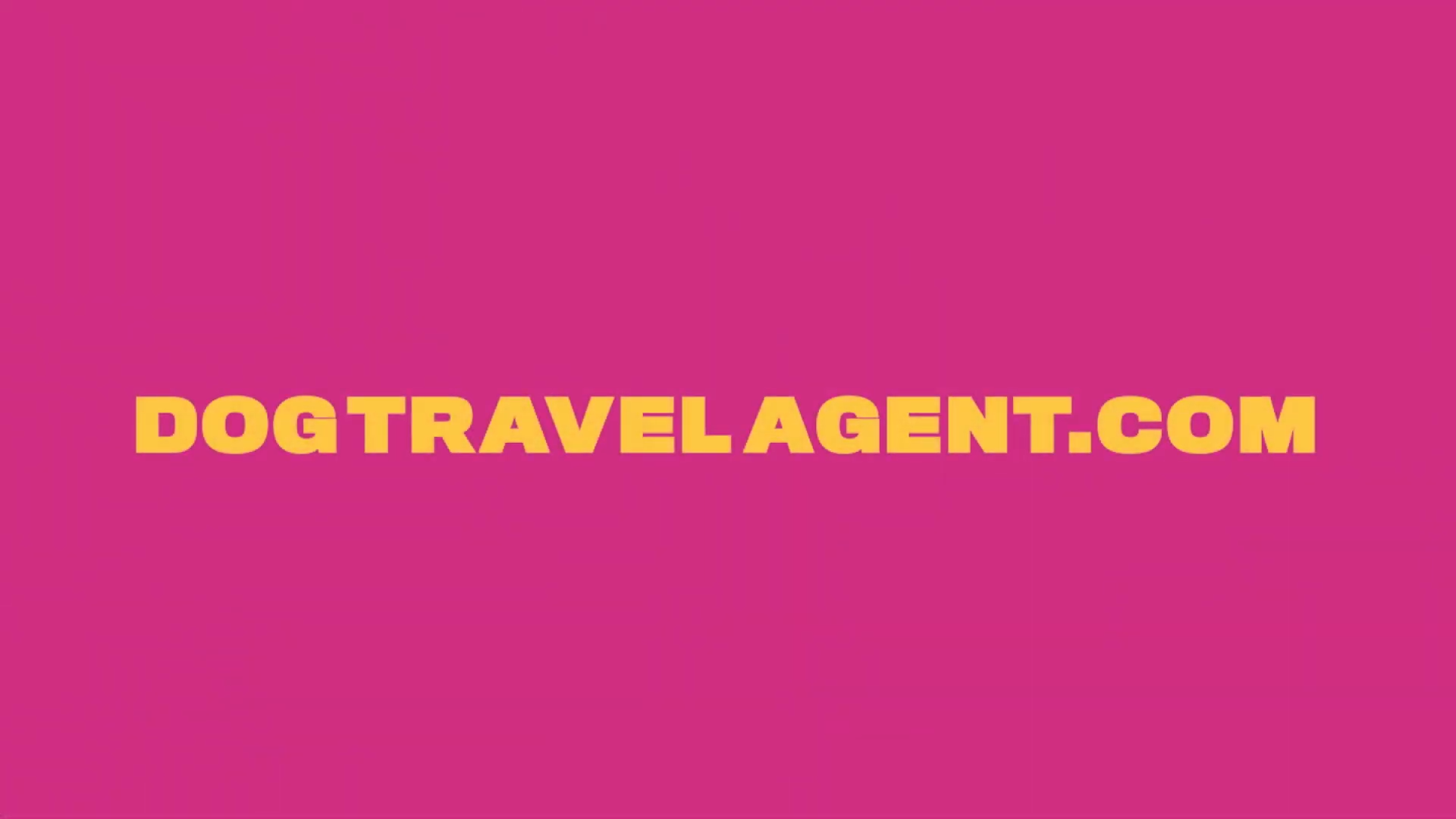 Dog Travel Agent Case Study 1-32 screenshot